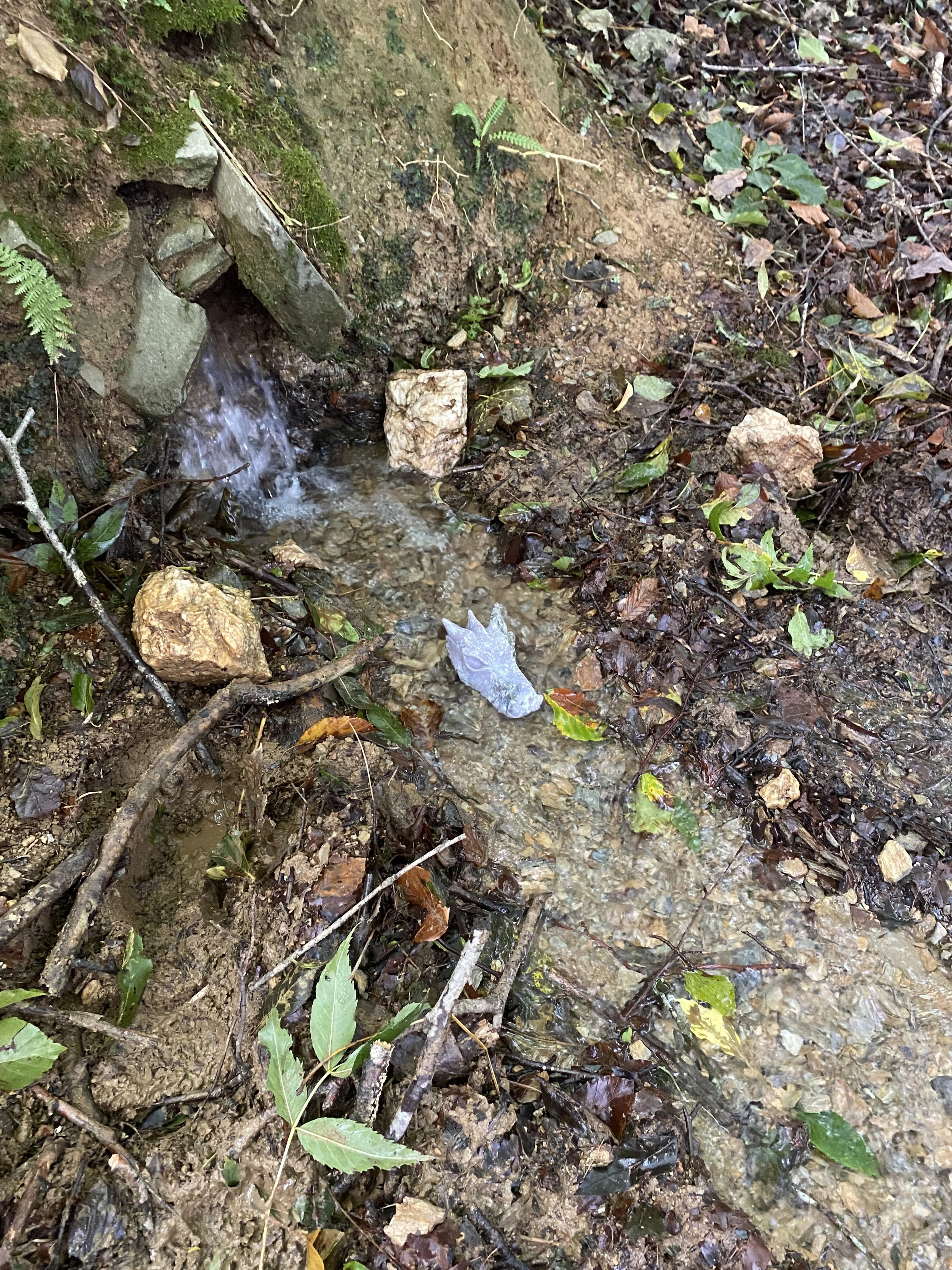 2023 September Wales Sacred Journey61.JPG