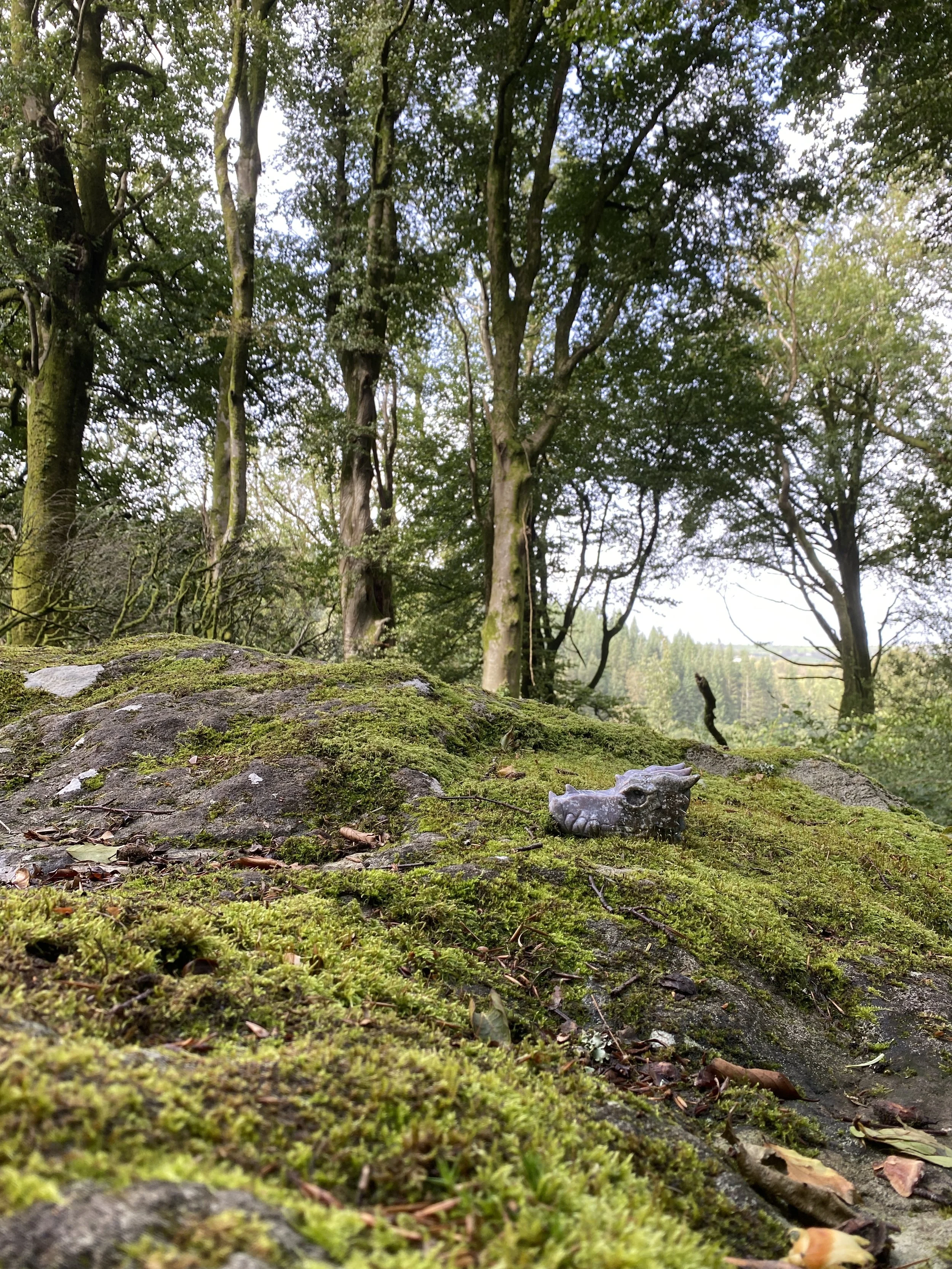 2023 September Wales Sacred Journey65.JPG