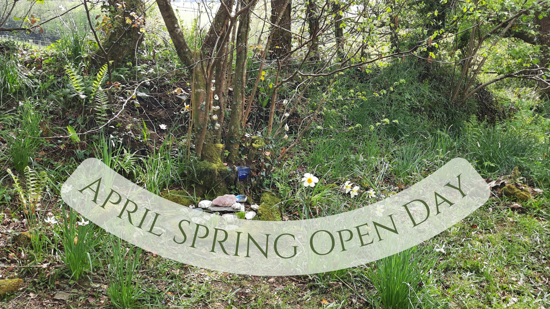 Spring Crystal Open Day  