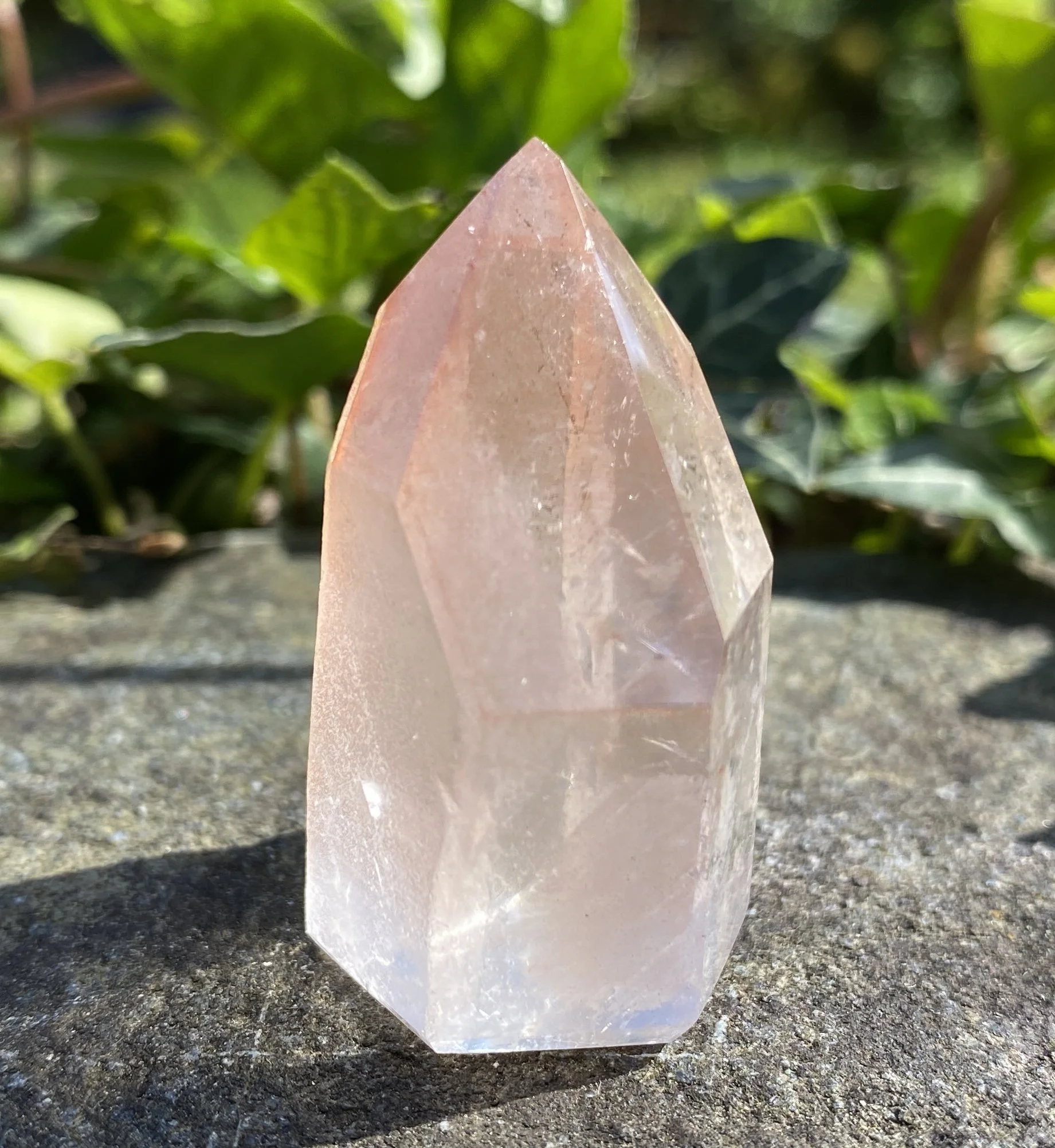 PINK LEMURIAN