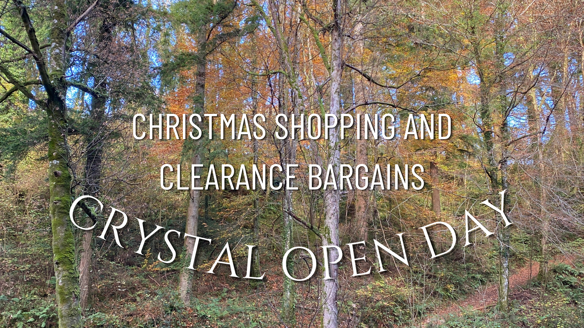 CRYSTAL OPEN DAY