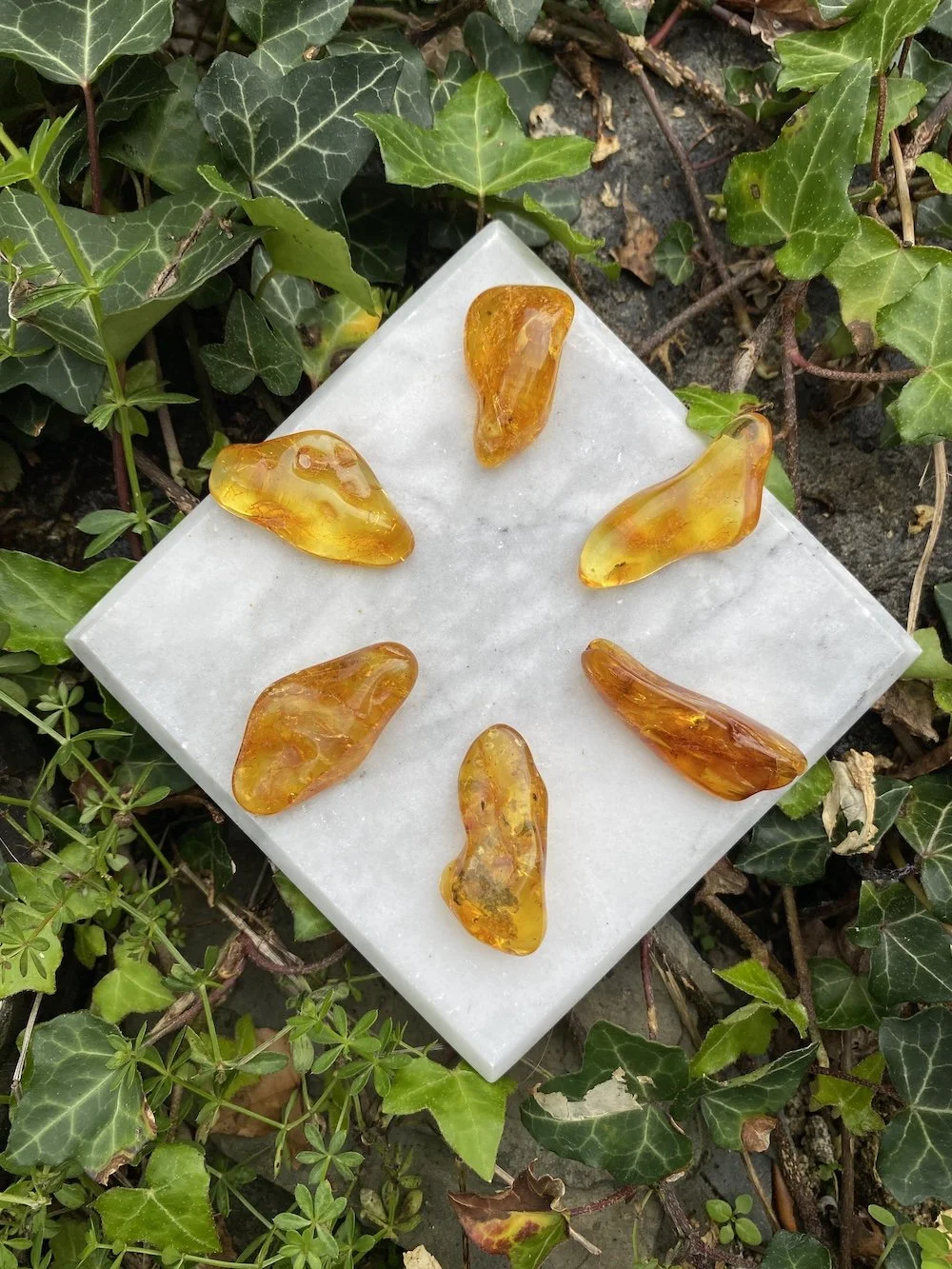 @ 1 Amber GRIDSET 4 2-3G2.JPG