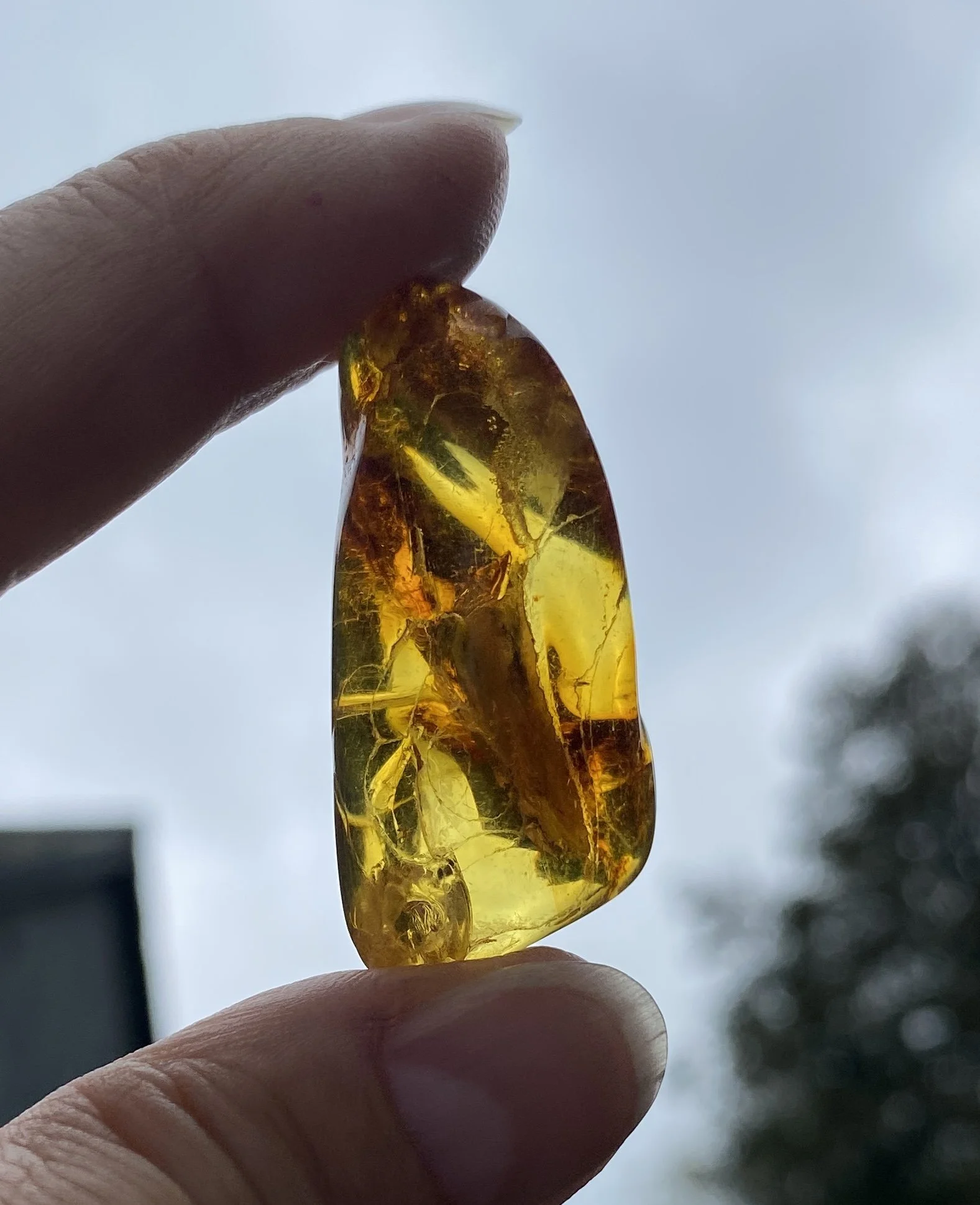 1 Amber 5.76JPG.JPG