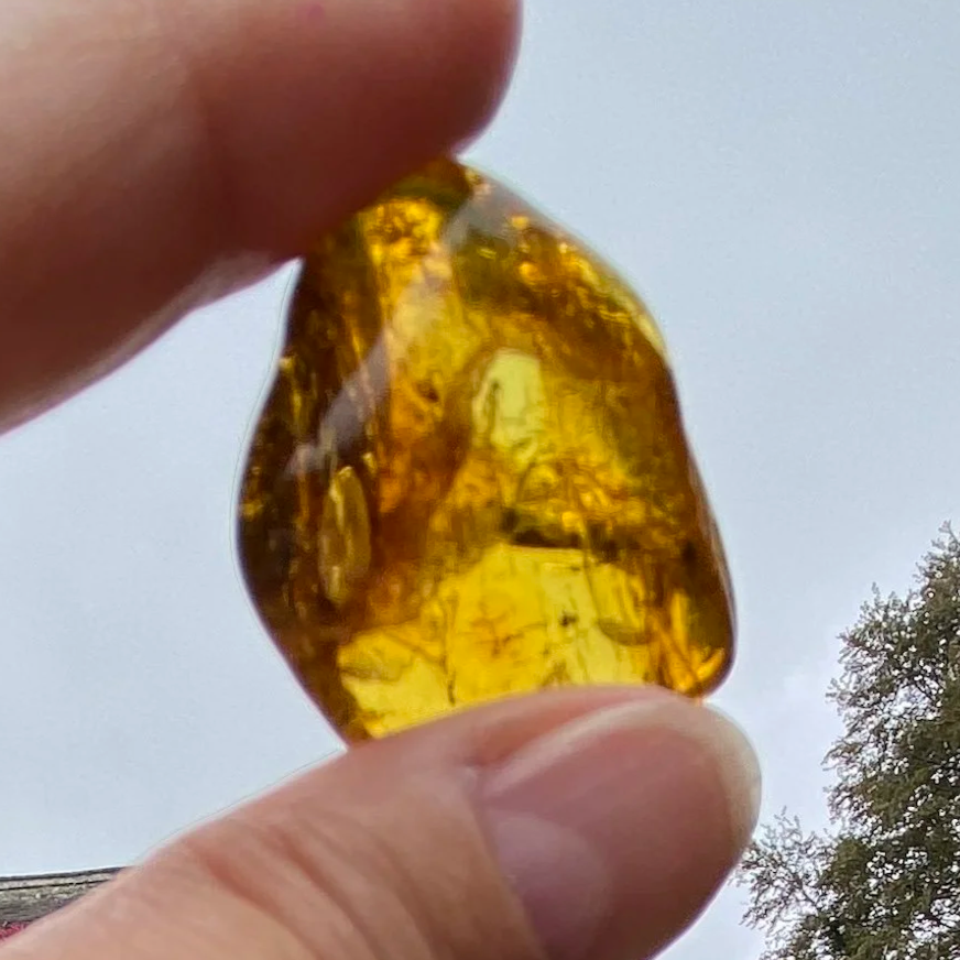 1+Amber+6.15G8.png