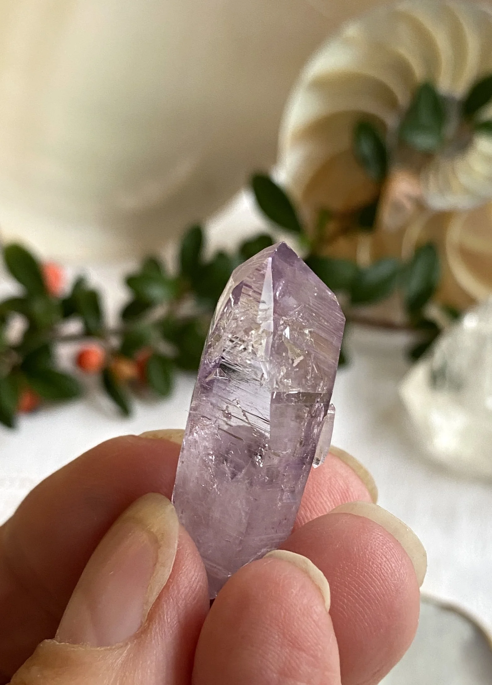 VERA CRUZ AMETHYST