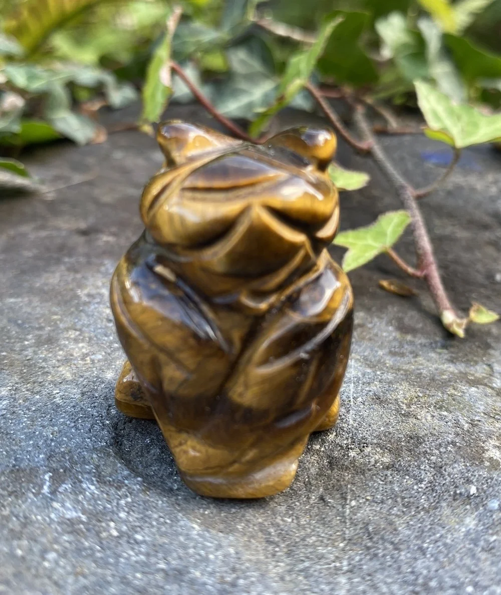 ZZ Tigers Eye Owl4.JPG