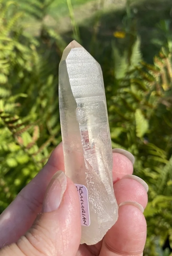 Lemurian4.JPG
