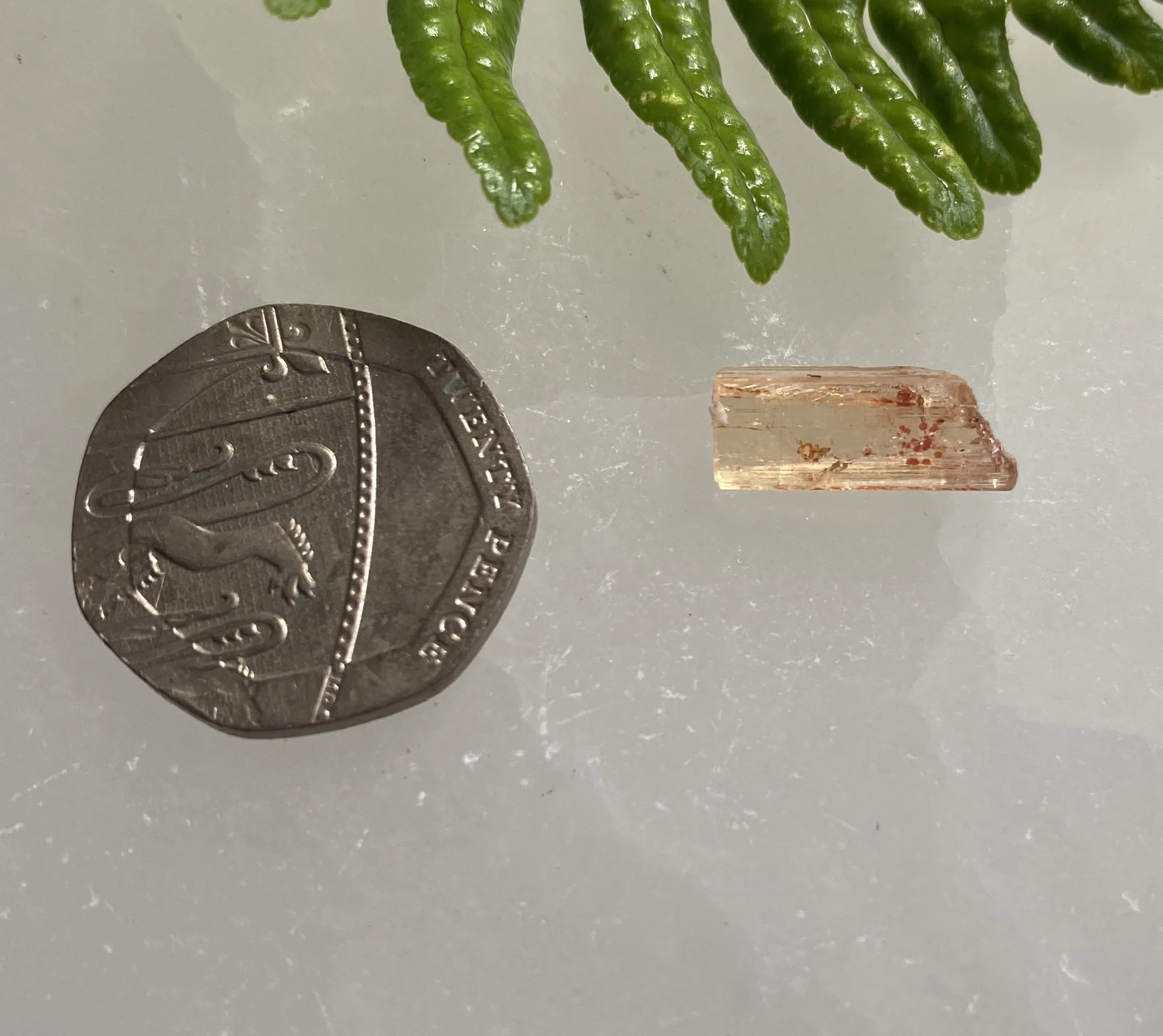 Topaz 82.JPG