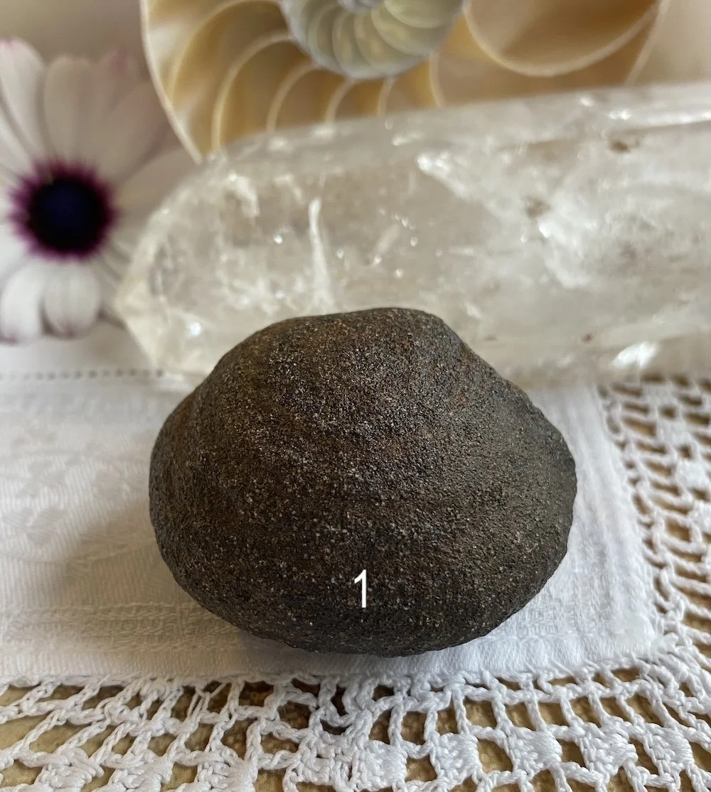Mochi 11.JPG