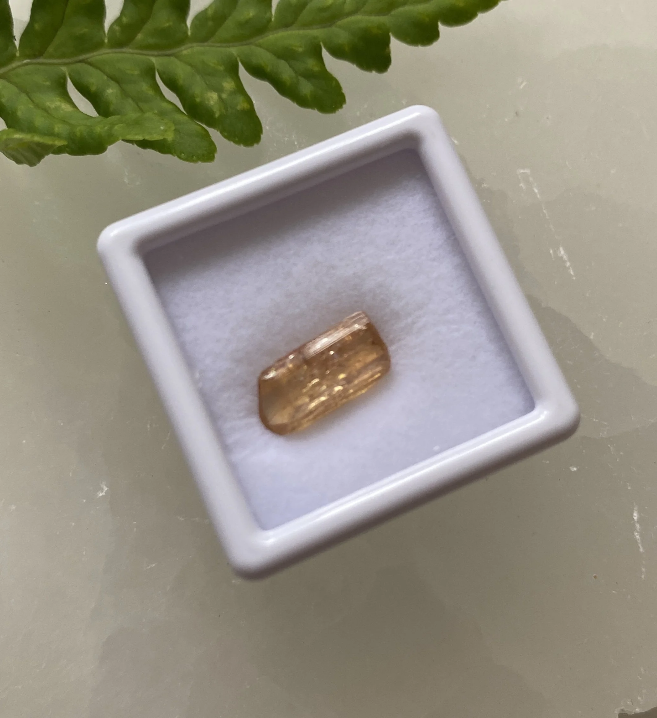 Gold Topaz 4T3.JPG