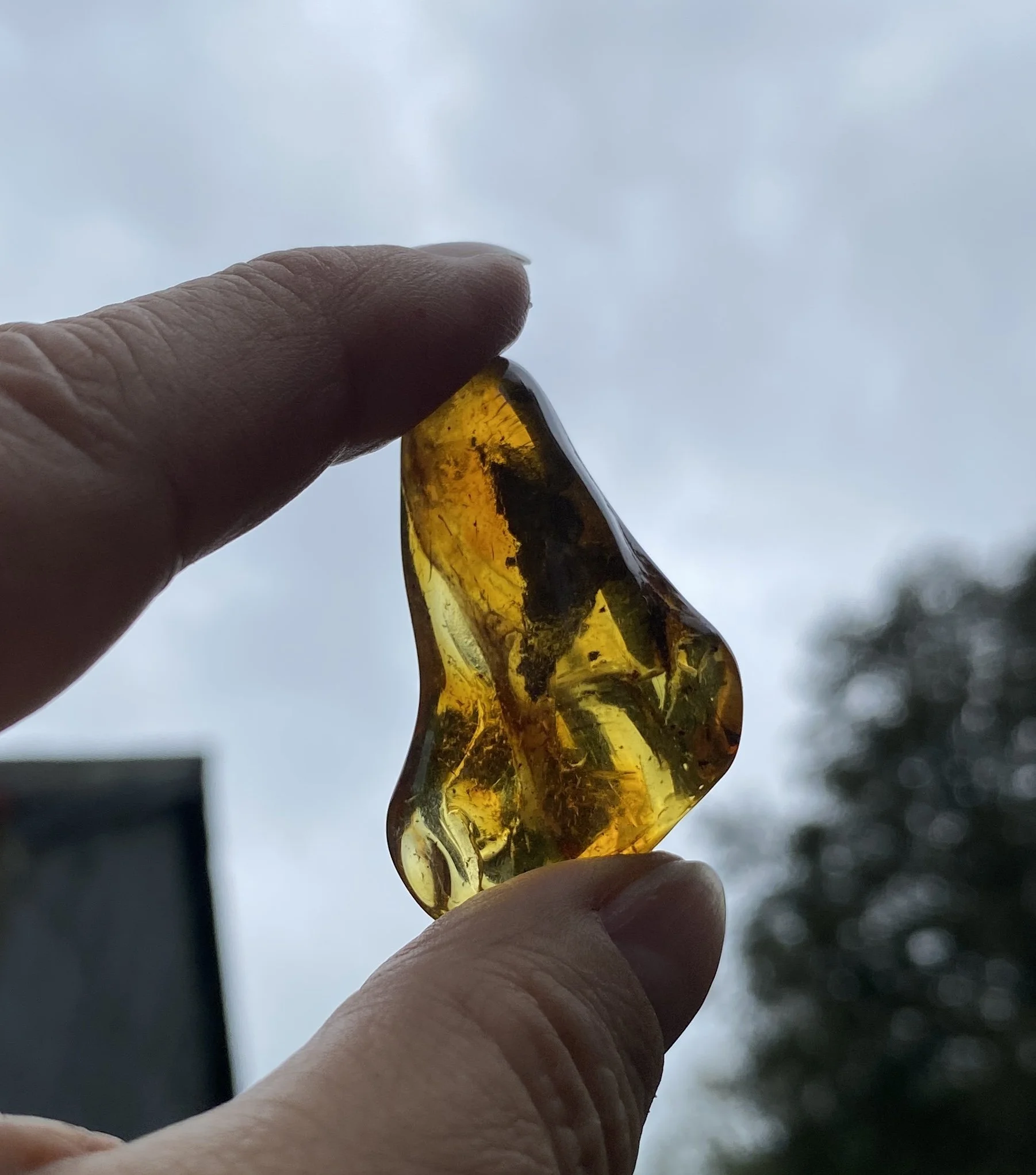 Amber 5.52g.JPG