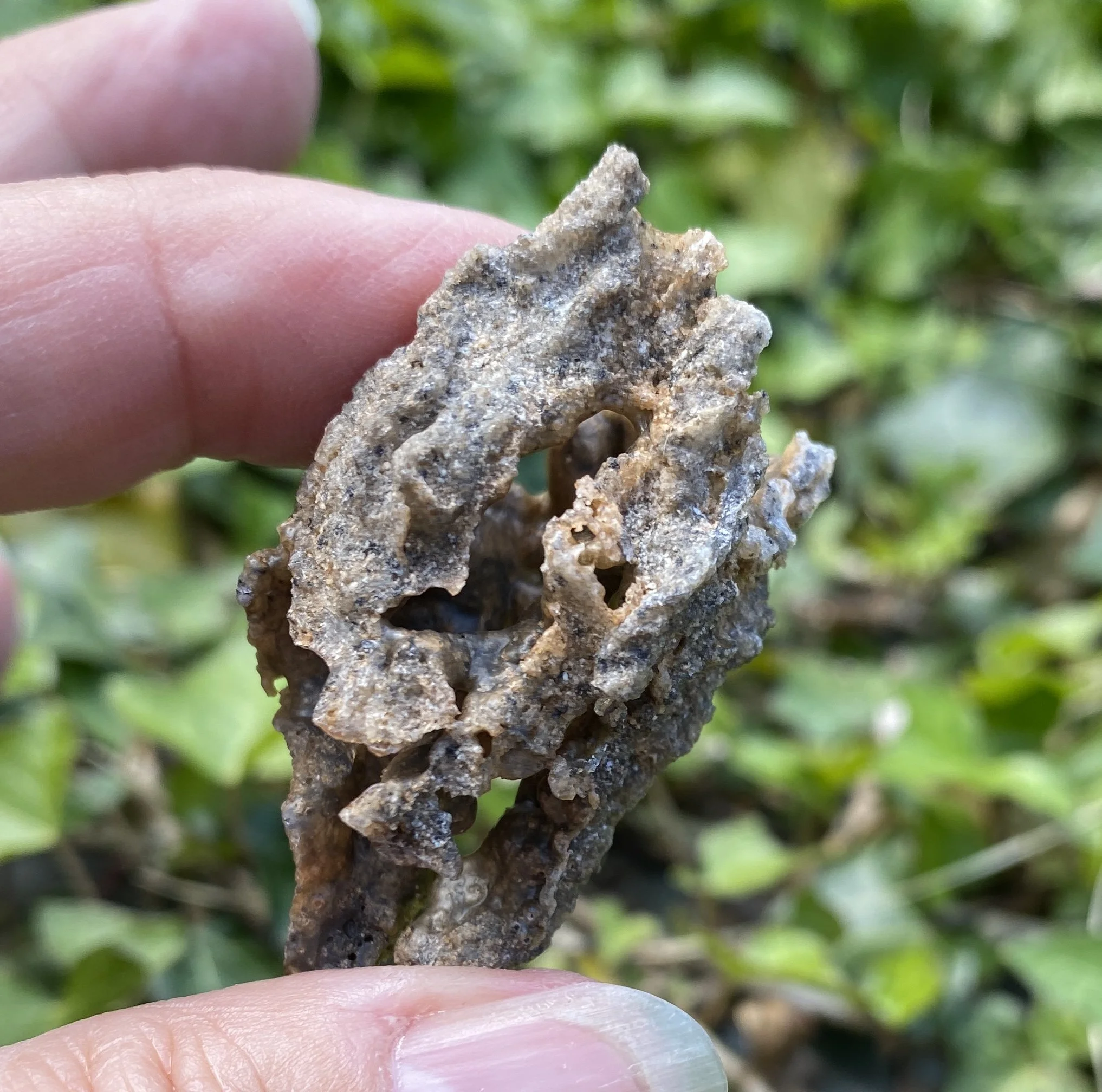 Fulgurite4.JPG