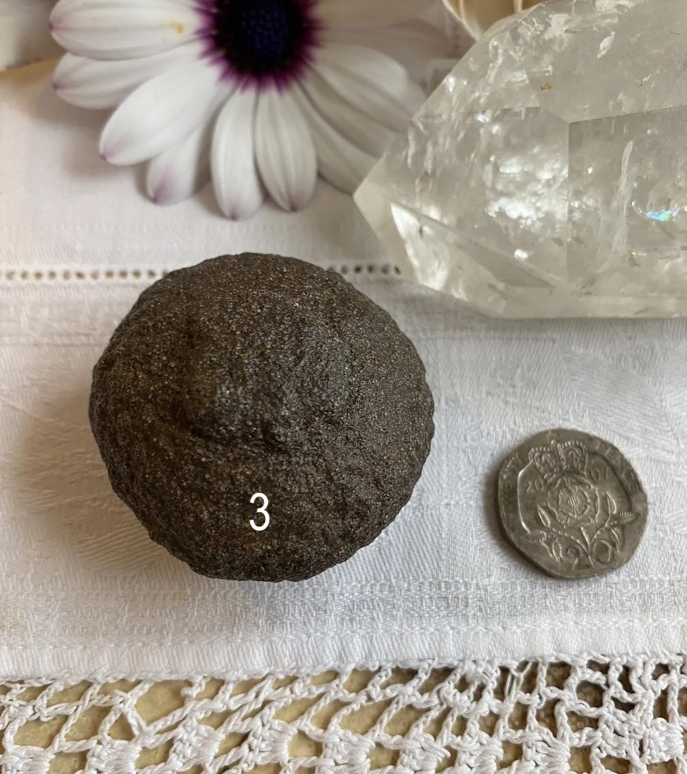 Mochi 32.JPG