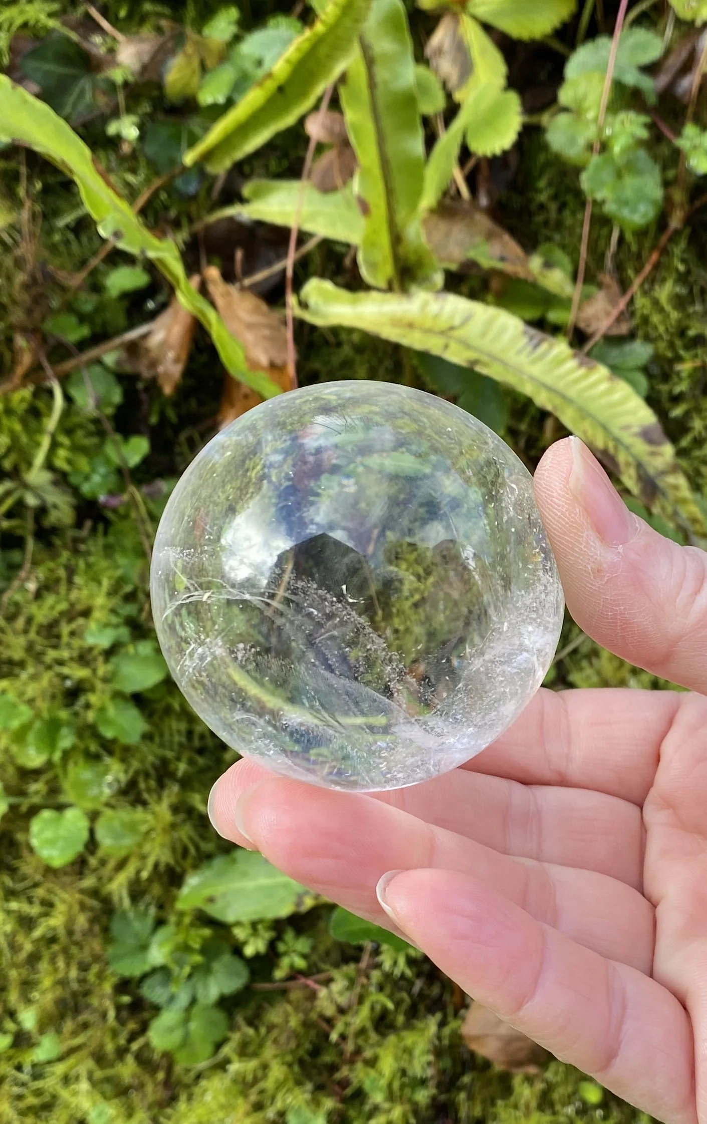 Lemurian 6A £1502.JPG