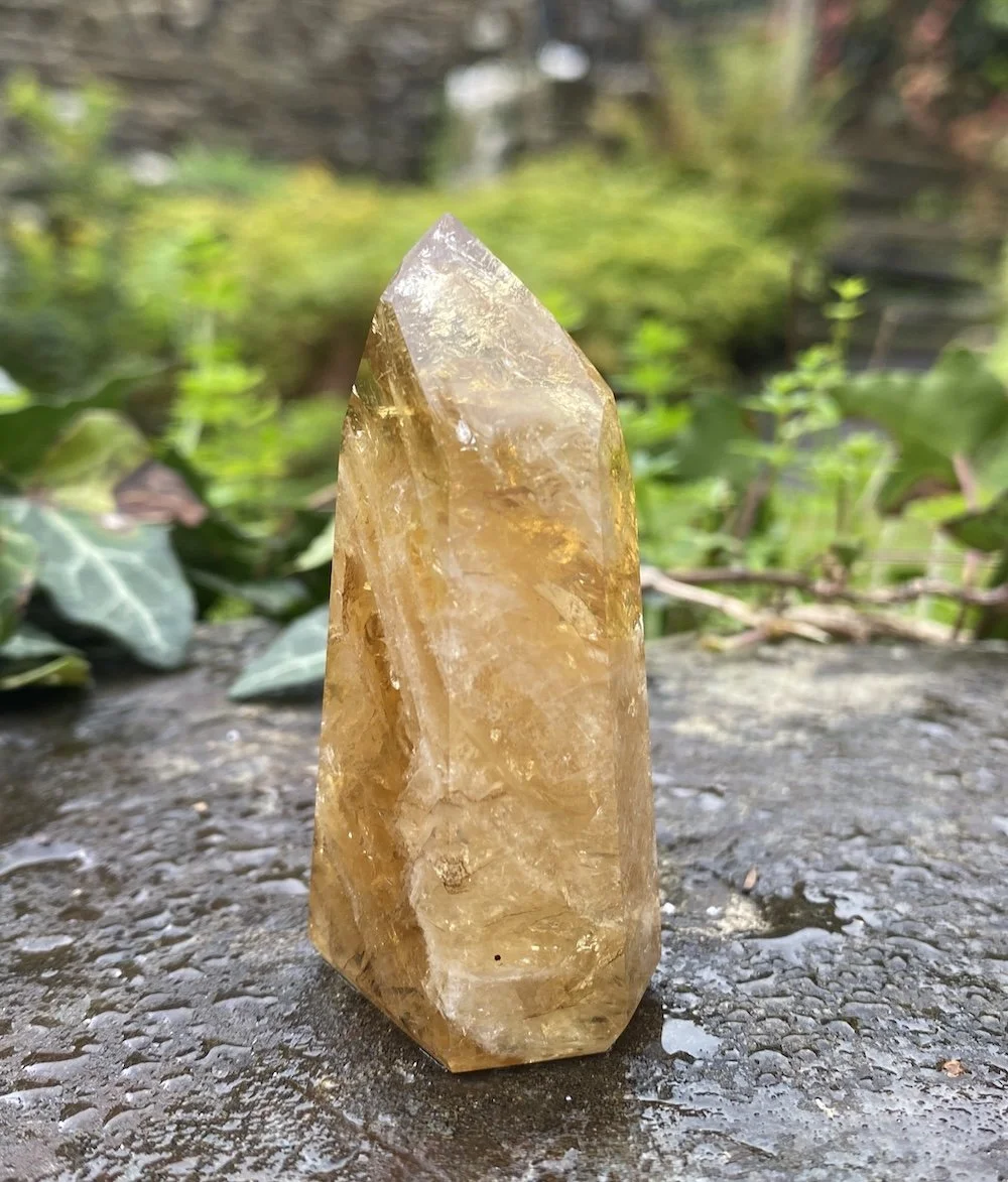 @2 Citrine standing 58g2.JPG