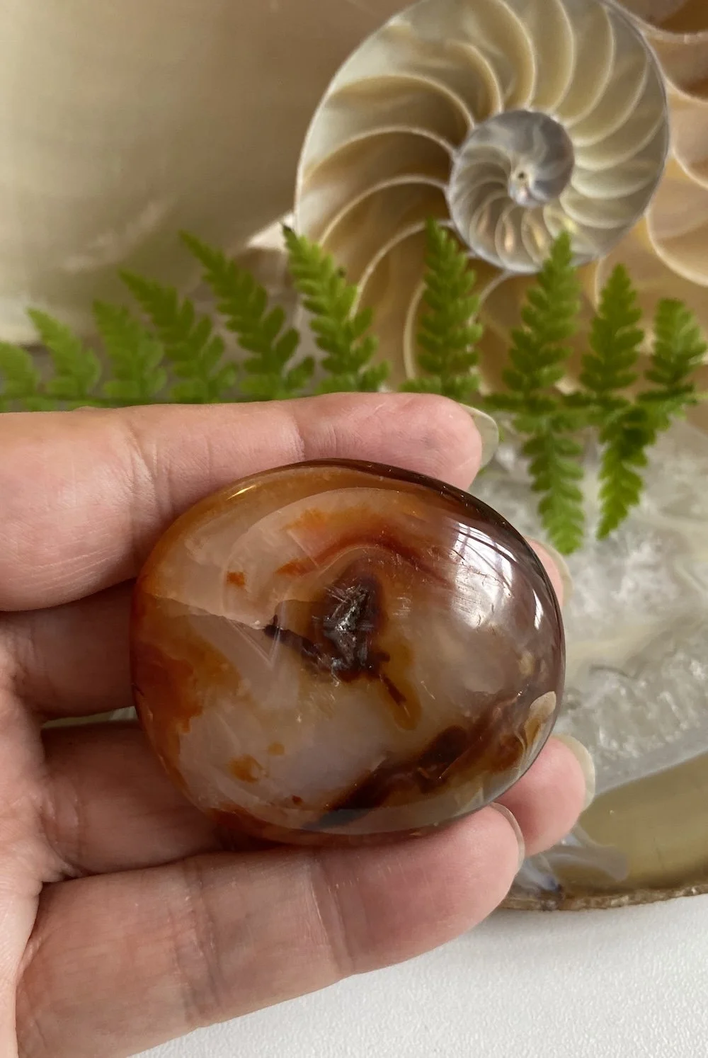 CARNELIAN7.JPG