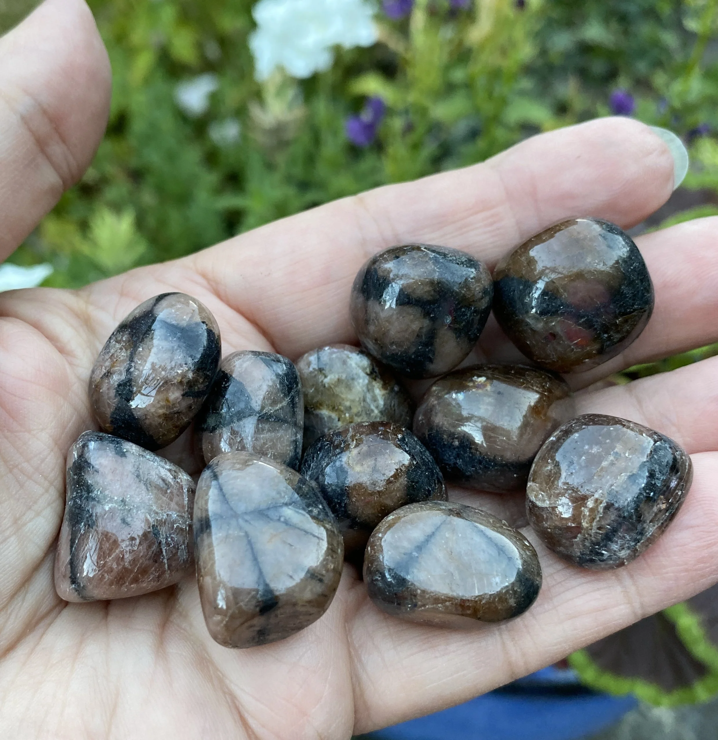 Chiastolite tumbles3 copy.JPG