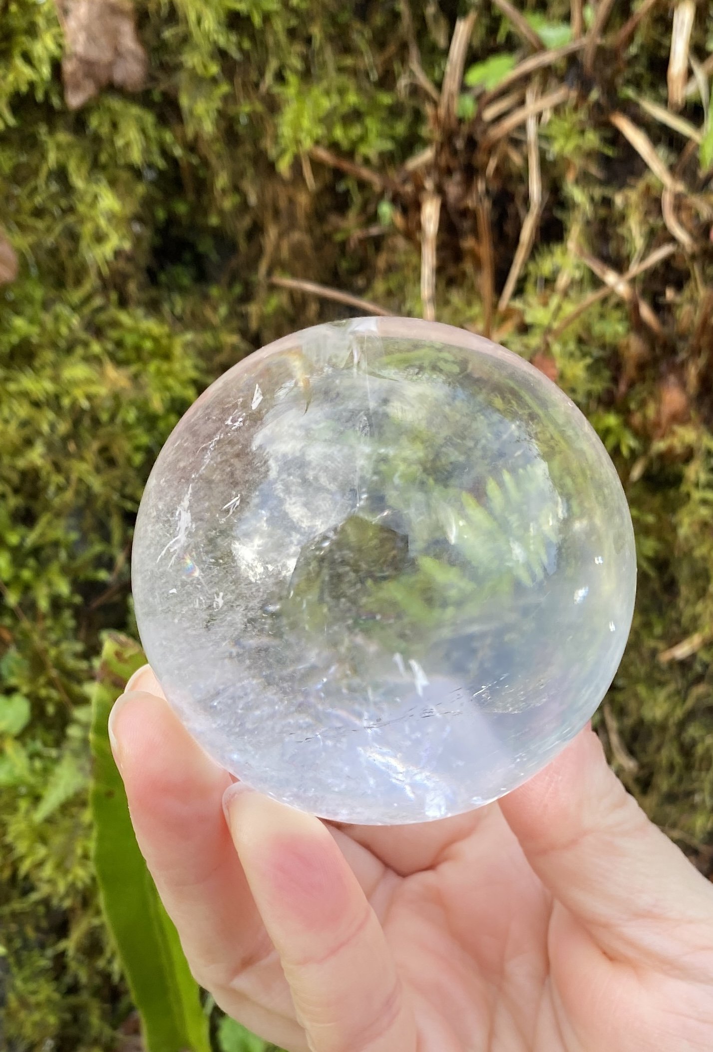 Lemurian 5A £2802.JPG