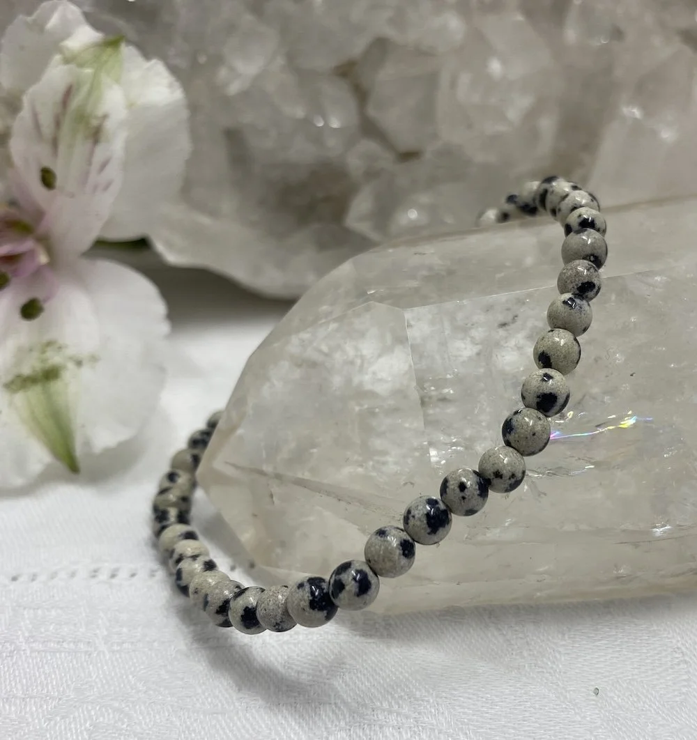 Braceket Dalmation 4mm2.JPG