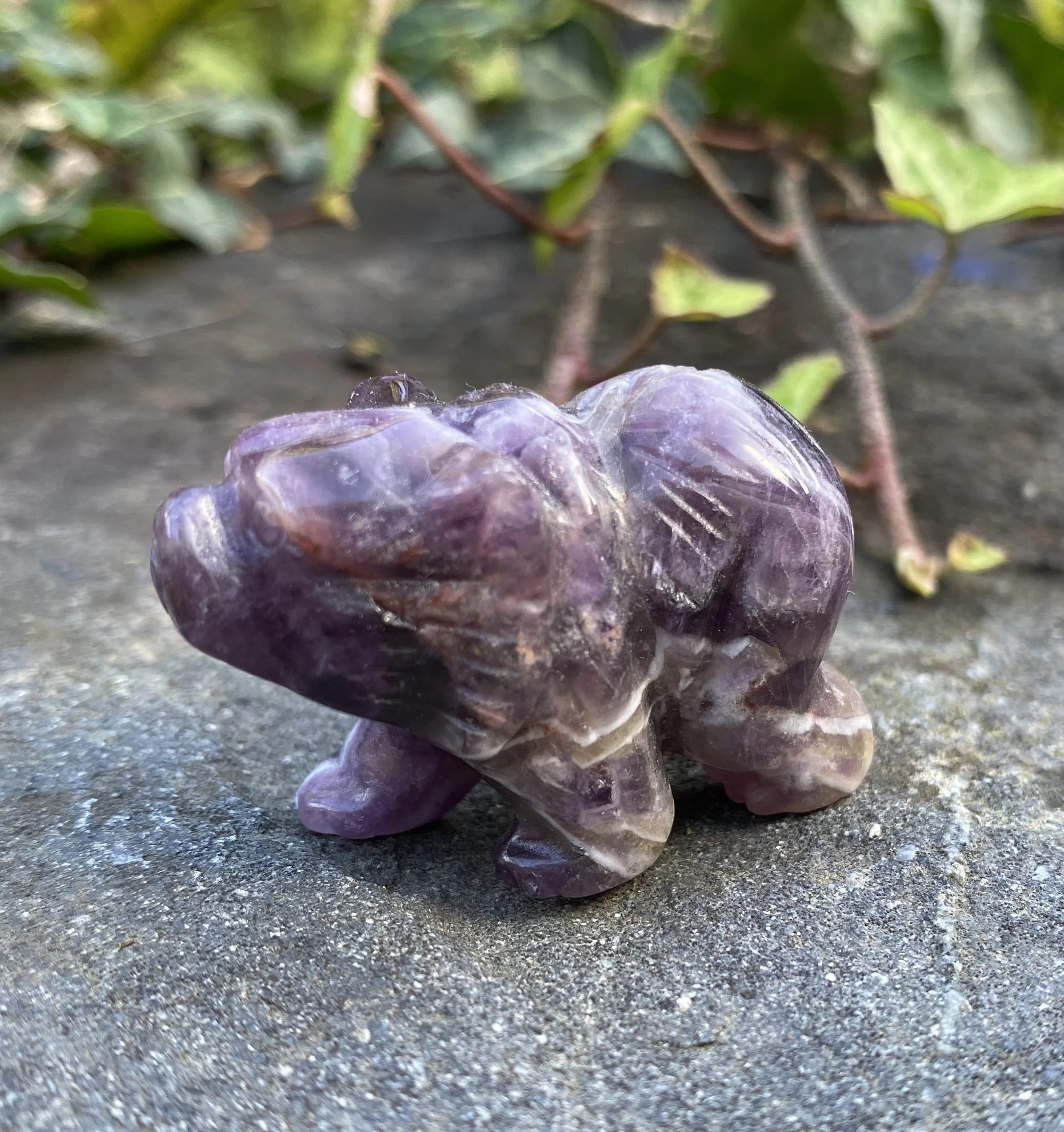 ZZ Amethyst Bear1.JPG