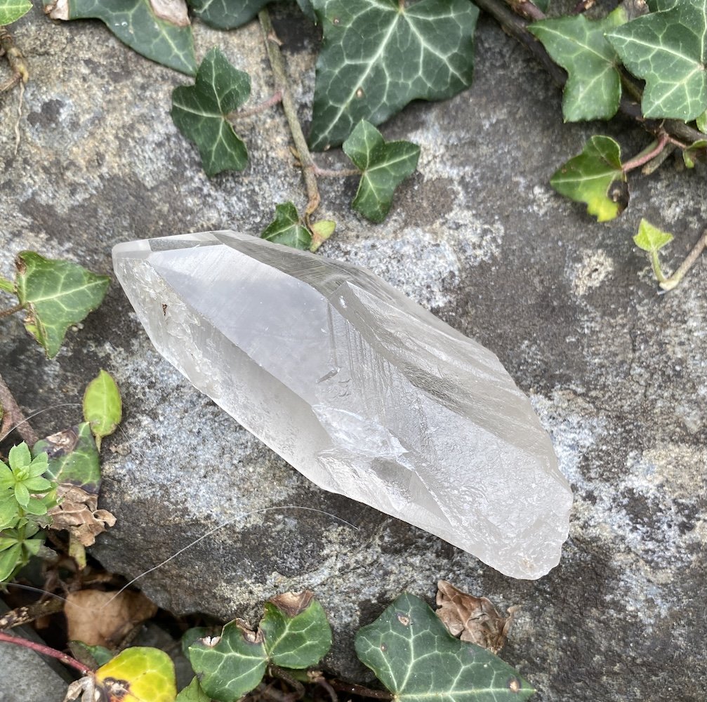 Lemurian S1 £321.JPG