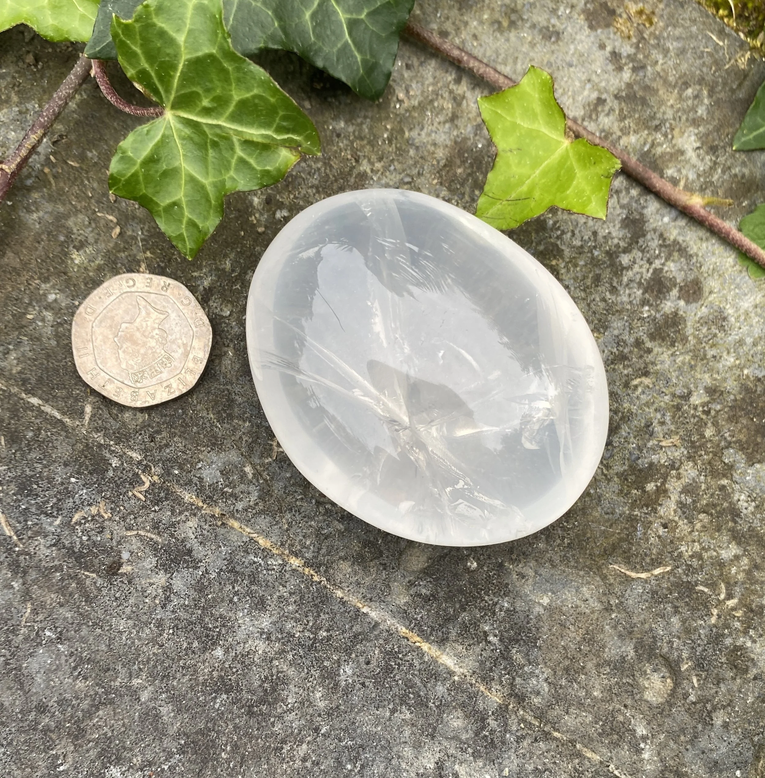 Girasol pebbles12.JPG