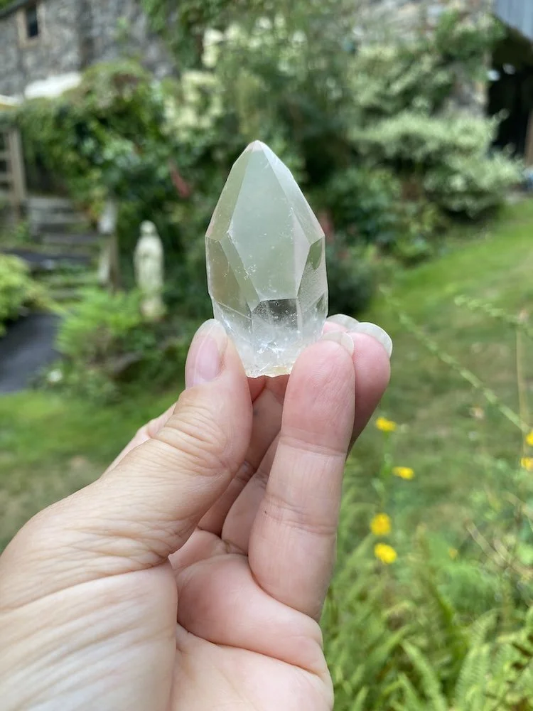 Lemurian £1514.JPG