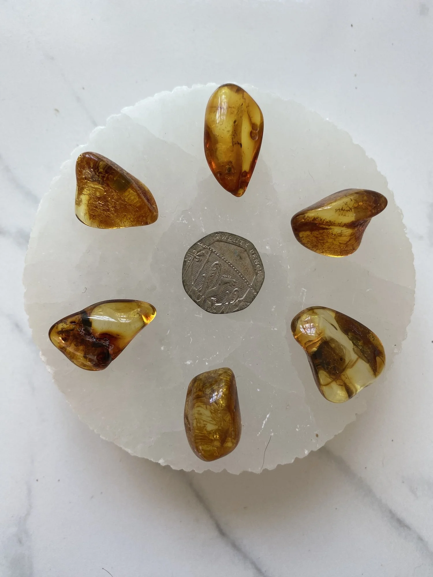 Amber Gridset 1