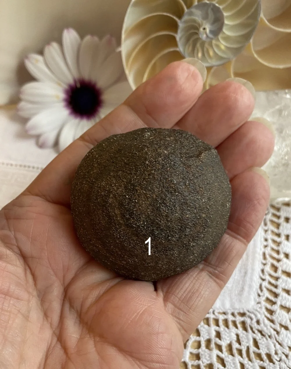 Mochi 13.JPG