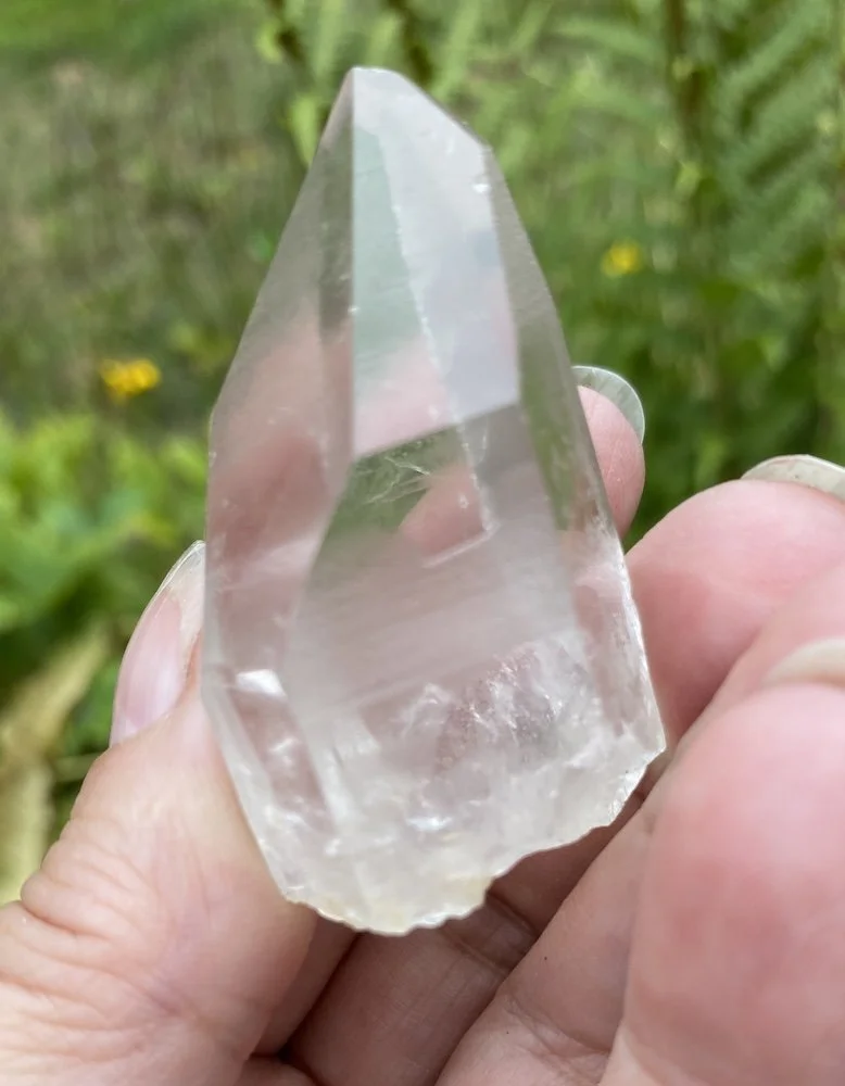 Lemurian £1512.JPG