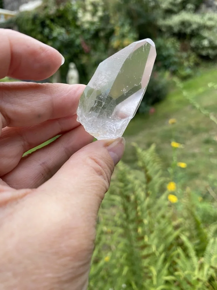 Lemurian £1520.JPG
