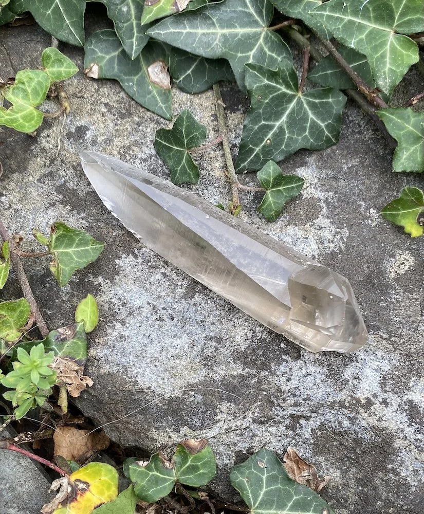 Lemurian ?1.JPG
