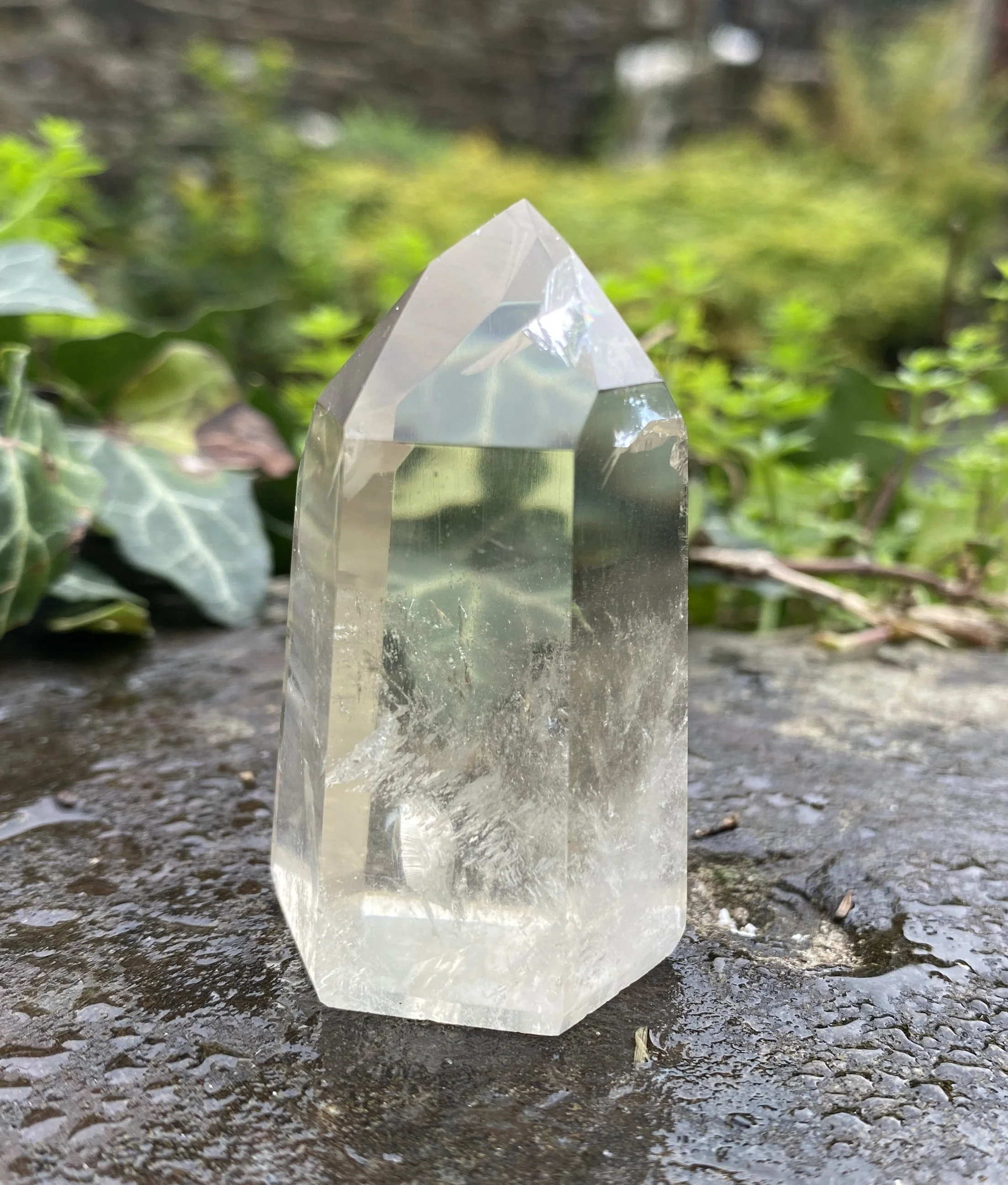 @2 Citrine standing super clear4.JPG