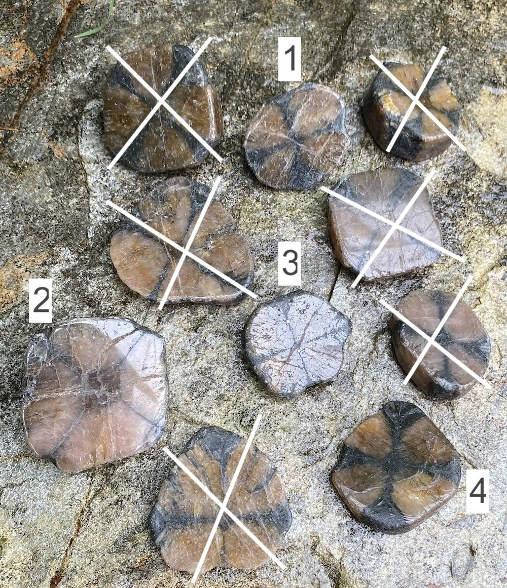 Chiastolite copy.jpeg