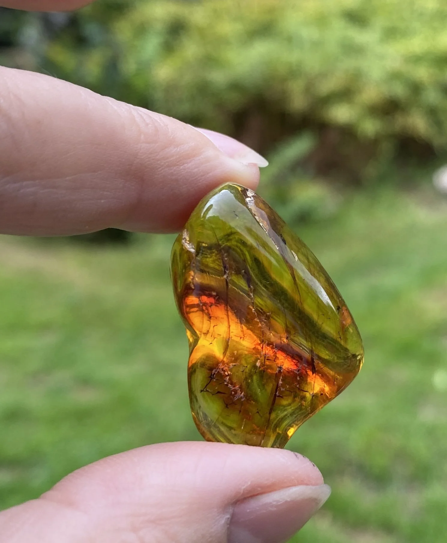 1 Amber 6G4.JPG
