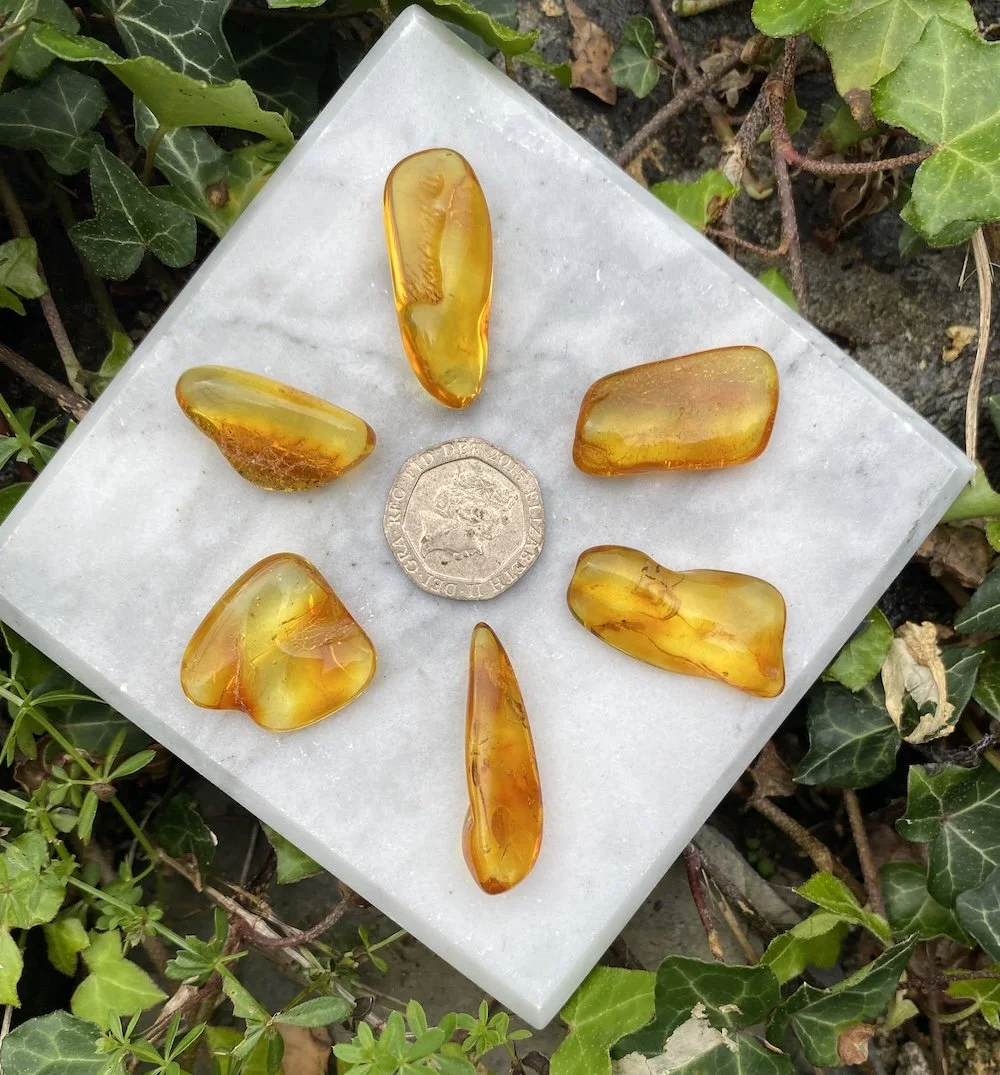 1 Amber5.JPG