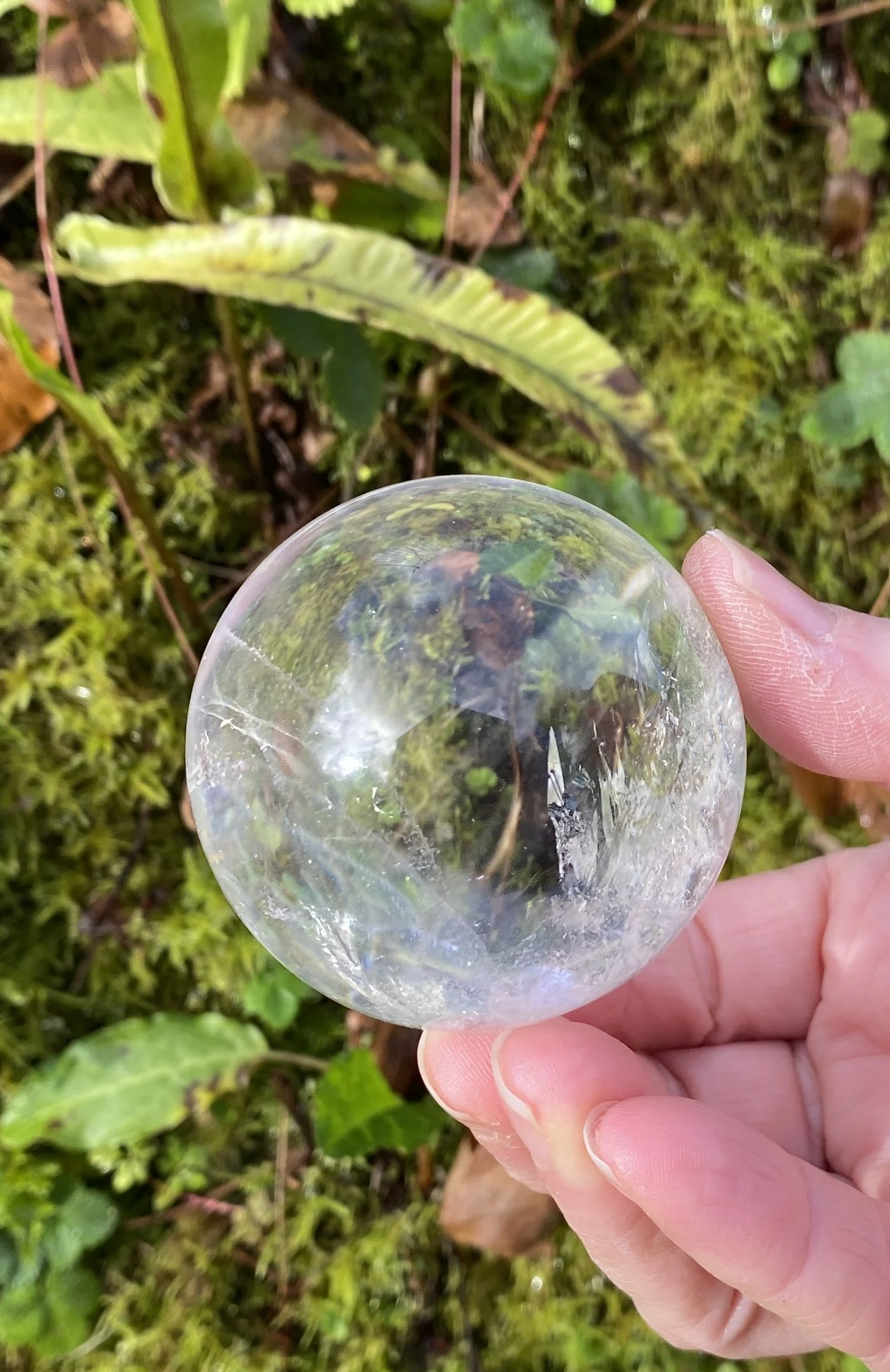 Lemurian 6A £1504.JPG