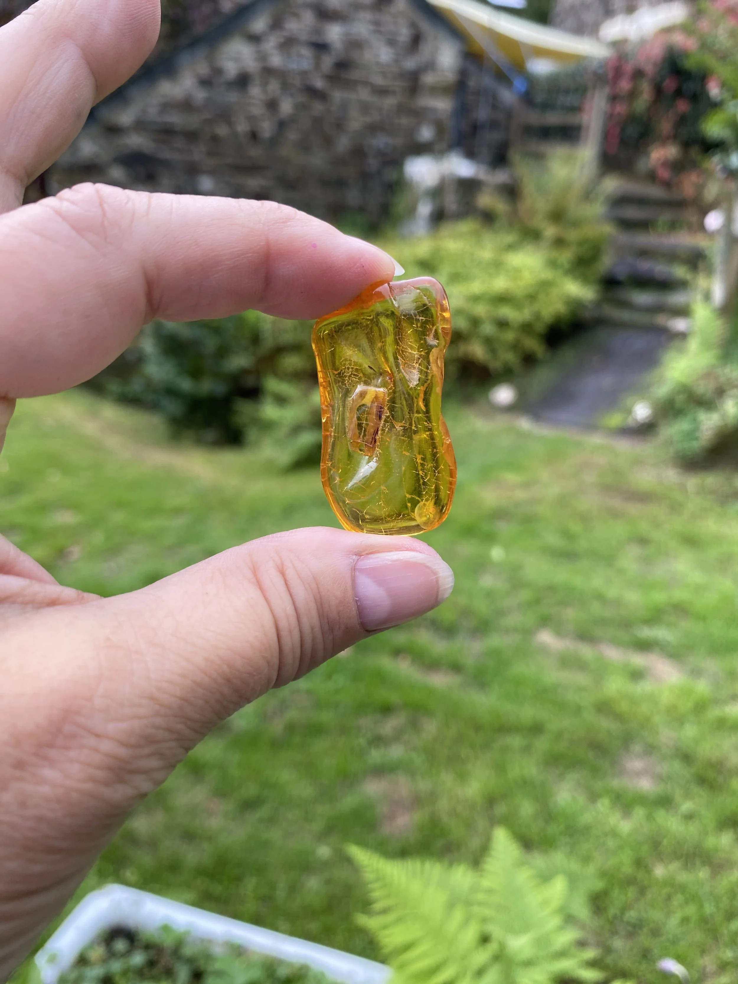 Amber 5.06g5.JPG
