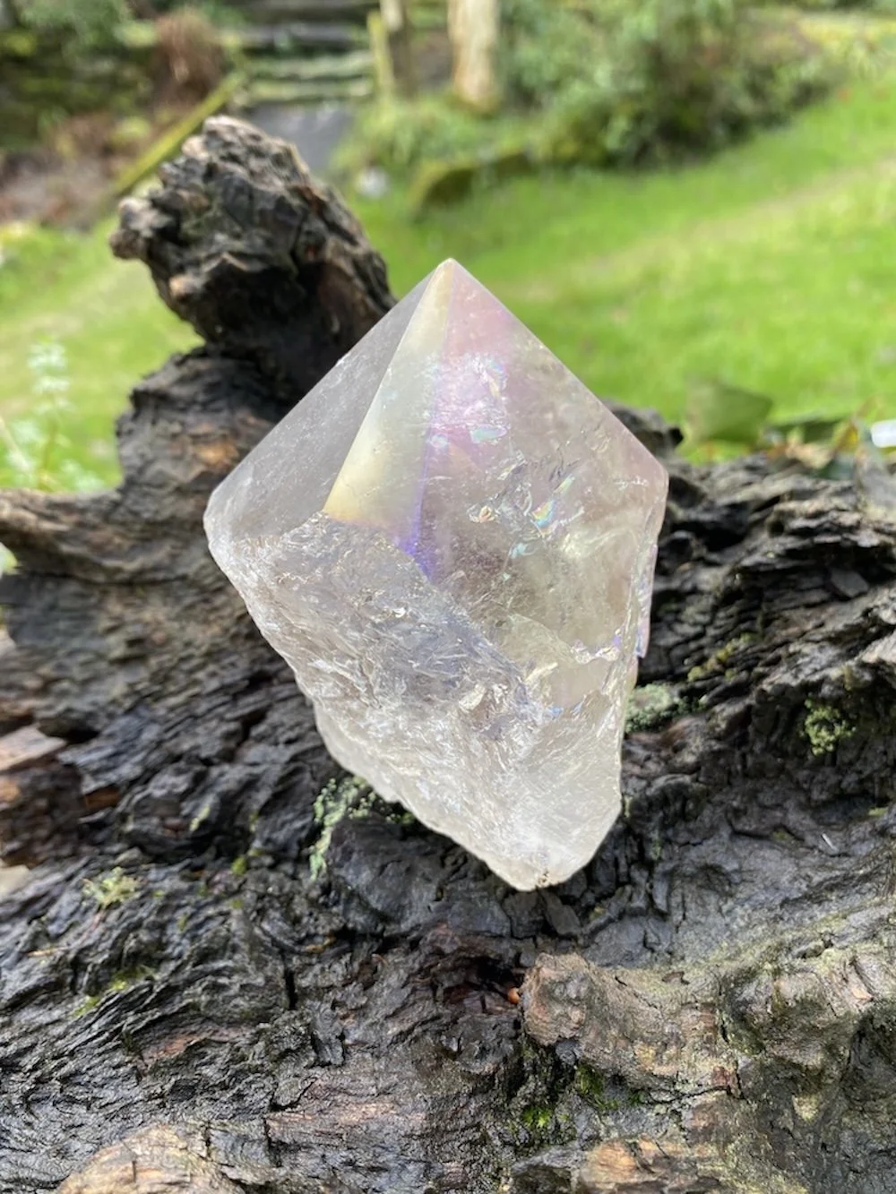 AA Aura standing point2.JPG