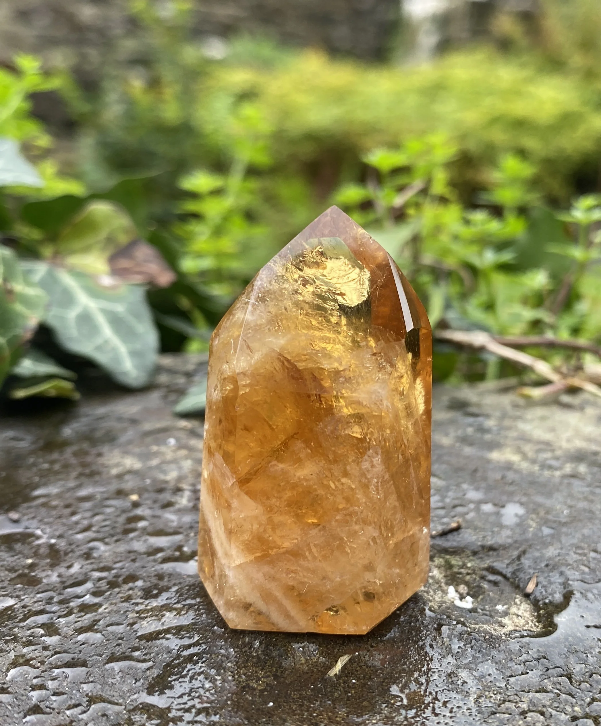 @2 Citrine standing 34g1.JPG