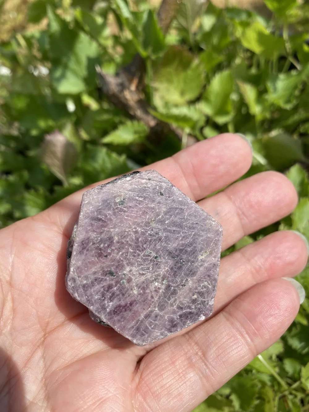 Ruby 55.JPG