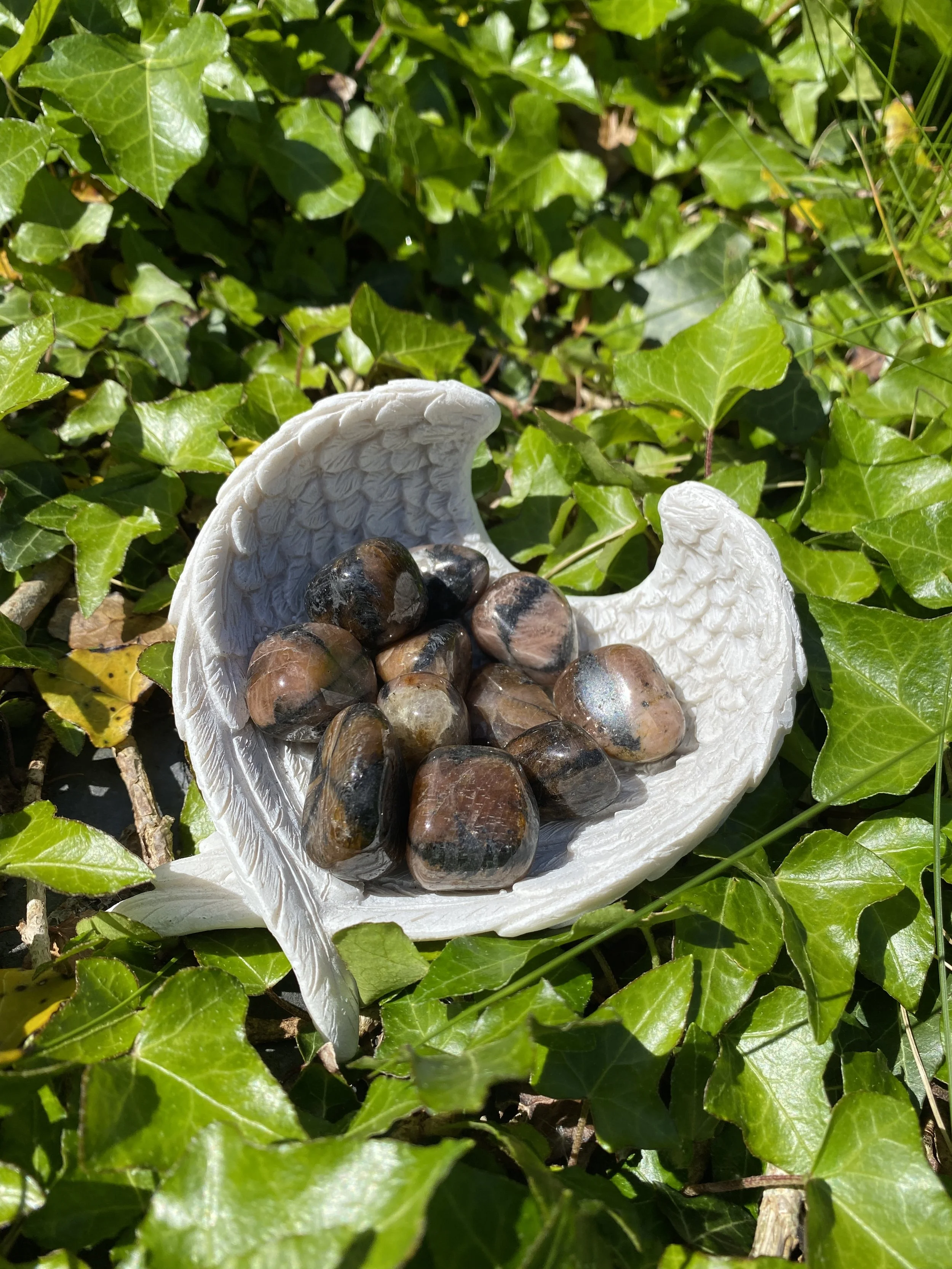 Chiastolite Tumblestones