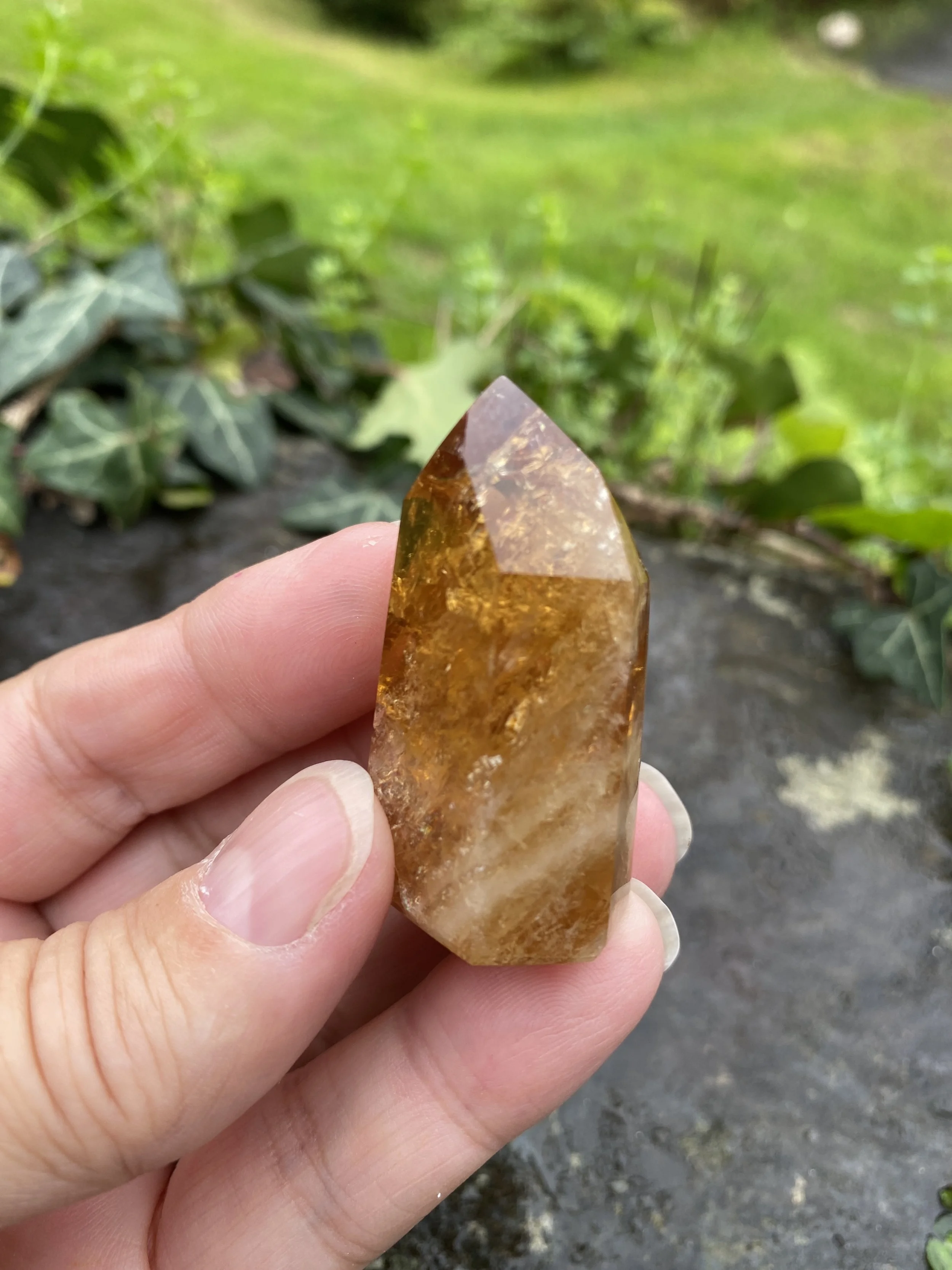 @2 Citrine standing 34g7.JPG