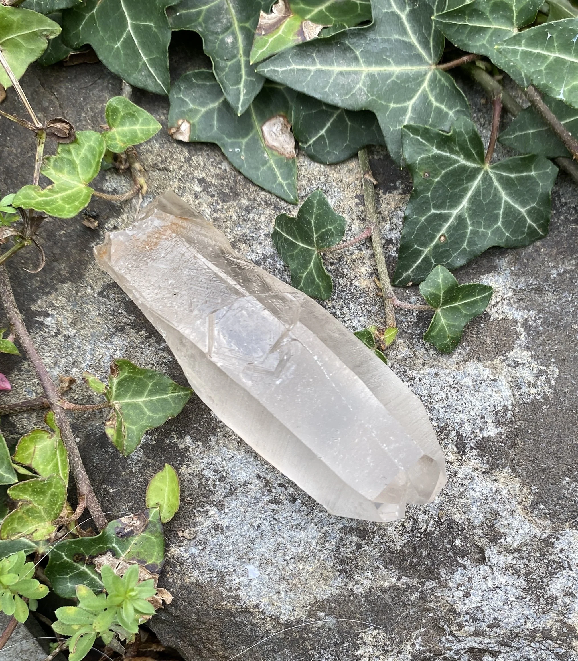 Lemurian S4 £294.JPG