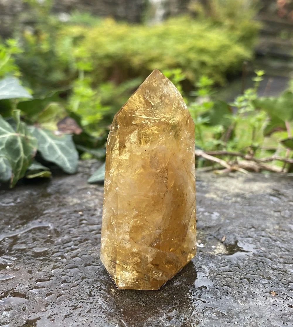 @2 Citrine standing 58g3.JPG