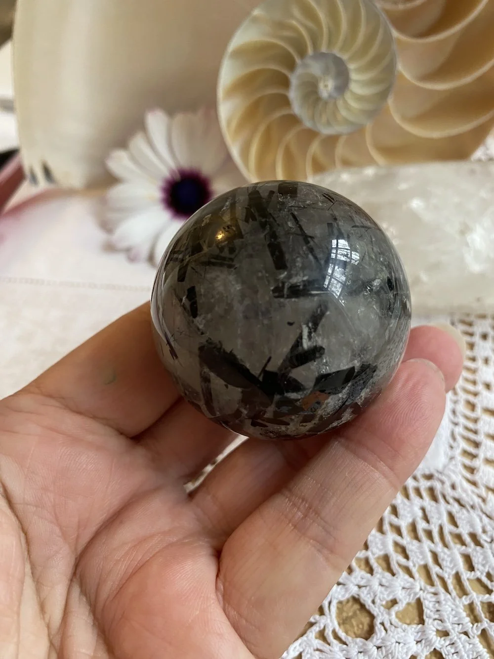 T in Q sphere.JPG