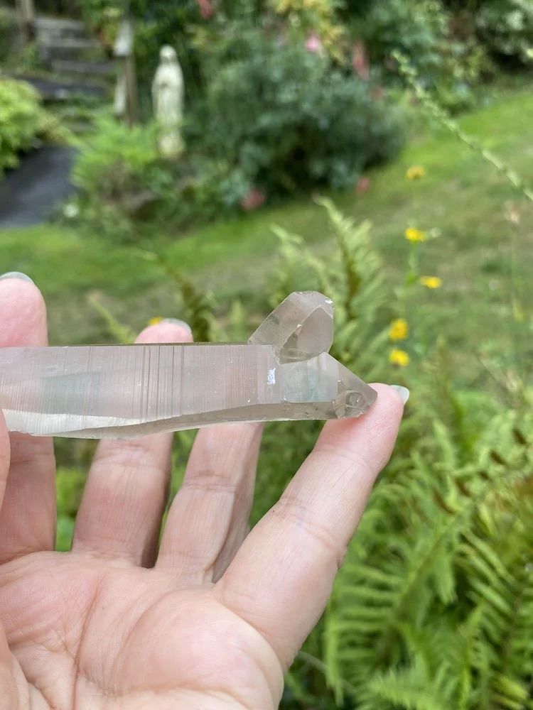 Lemurian ?4.JPG