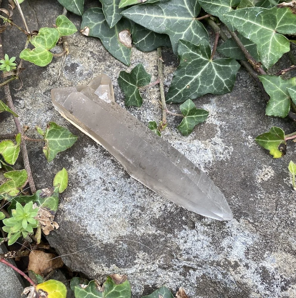 Lemurian ?2.JPG