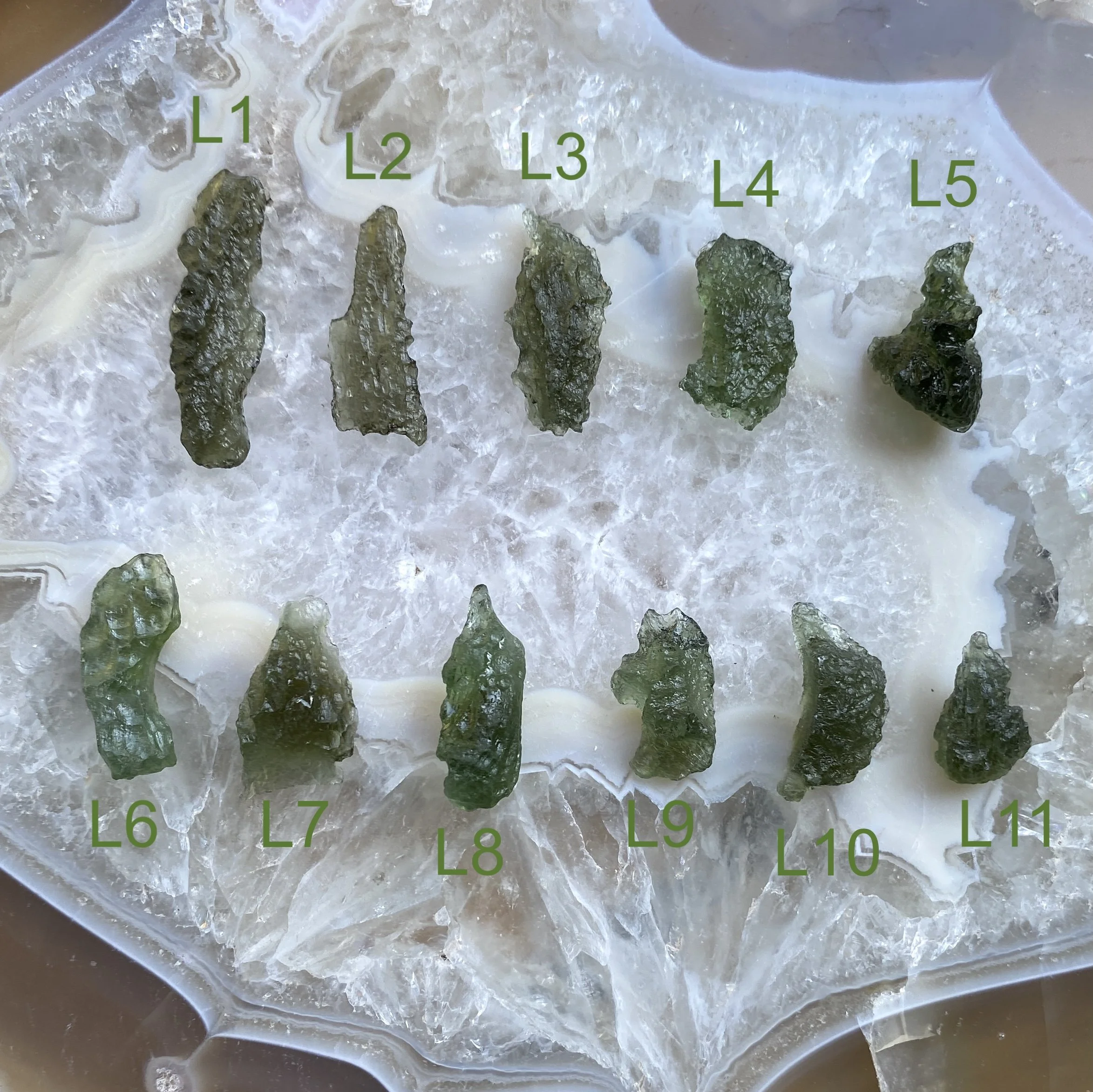 Moladvite5 copy.JPG