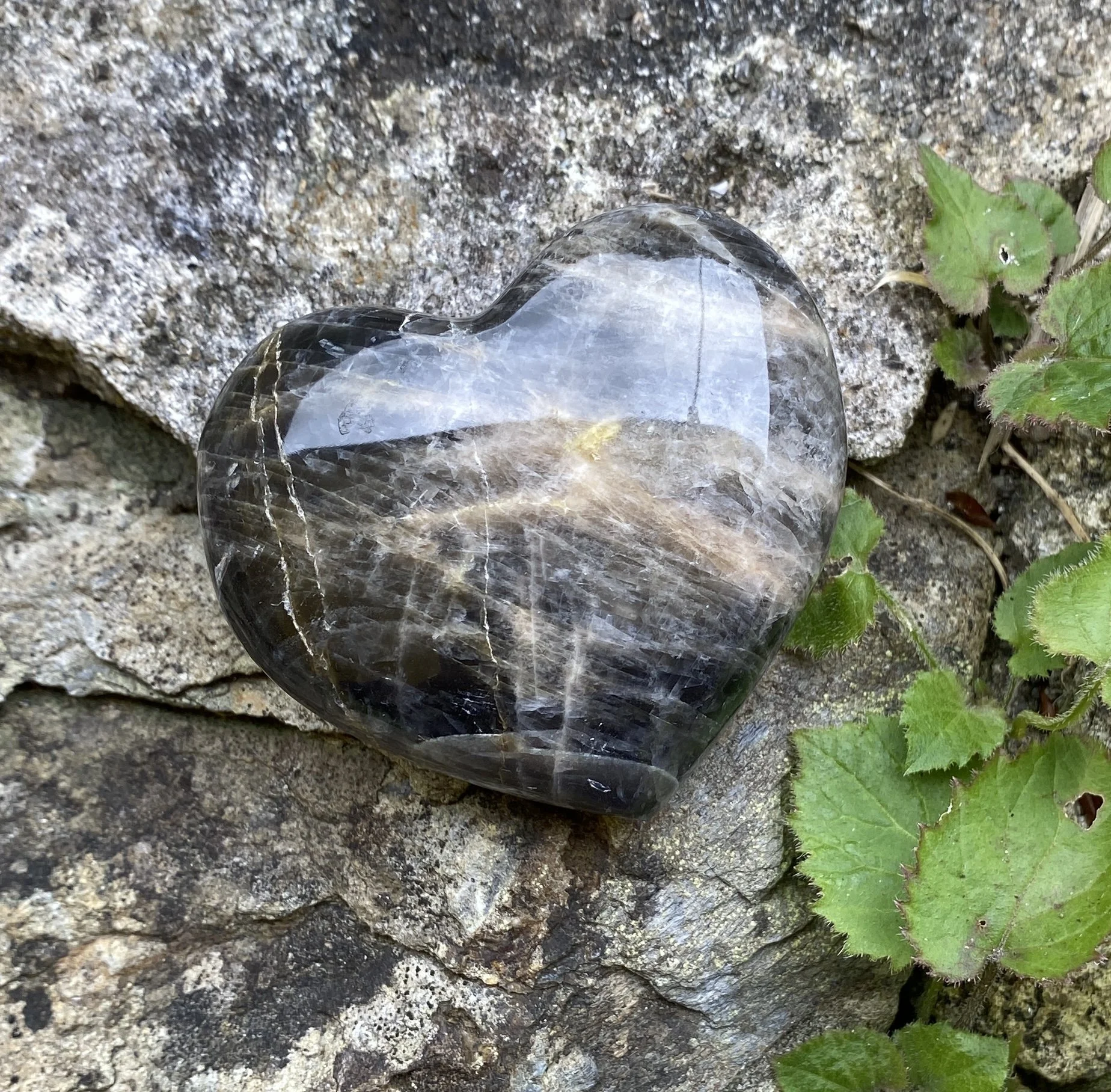 Moonstone Black hearts1.JPG